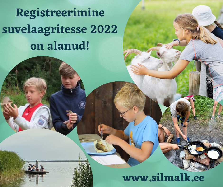 www.silmalk.ee (6)